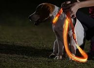Orange Color LED Dog Leash USB Rechargeable
