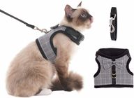 Fashionable Cat Harness Collar Cute Bow Knot Decorate Cat Harness